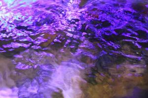 photo of purple aquarium water from above