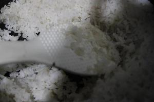 photo of white rice in the basin