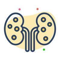 Kidney vector modern design, an human organ icon