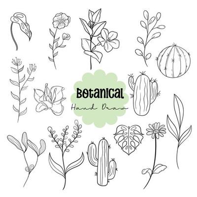 Hand Draw Botanical Set, Line Art