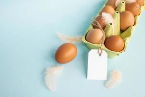 Chicken eggs in tray, empty tag mockup pink bird feathers on blue background photo