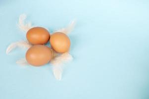 Easter composition. Red eggs lie on a blue background. Pink bird feathers are scattered on the table photo