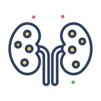 Kidney vector modern design, an human organ icon