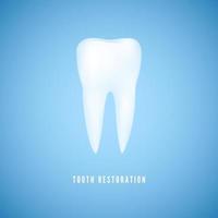 White realistic tooth illustration. Clear health Molar. Dentist care and tooth restoration medicine background on blue background. Vector