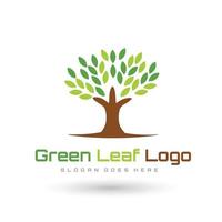 Best Monogram  Logo Design vector