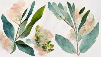 Luxury greenery floral watercolor background. photo