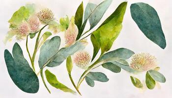 Elegant hand drawing eucalyptus leaves pattern. photo