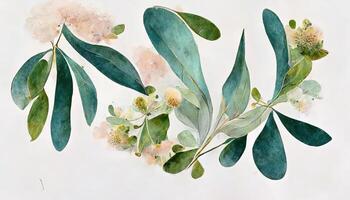 Elegant hand drawing eucalyptus leaves pattern. photo