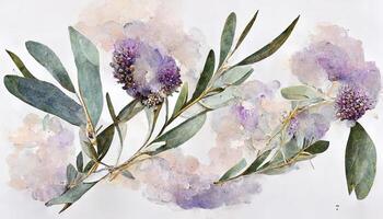 Lavender flowers and eucalyptus branches isolated on white, Floral wreath, Watercolor illustration. photo