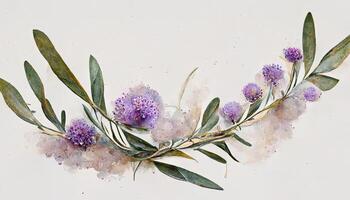 Set of separate parts and bring together to beautiful bouquet of flowers in water colors style on white. photo