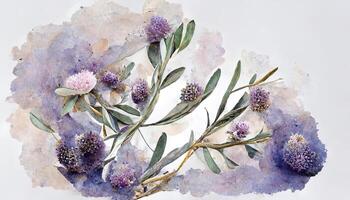 Excellent Lavender eucalyptus leaves, sage, and olive branches make up this flower frame from a digital watercolor painting. photo