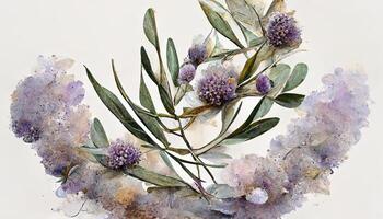 Lavender flowers and eucalyptus branches isolated on white, Floral wreath, Watercolor illustration. photo