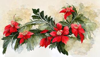 Christmas floral frame, Watercolor winter, Illustration isolated on white background. photo