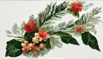 Watercolor Christmas plants set. Hand drawn winter bouquets isolated on white background. photo