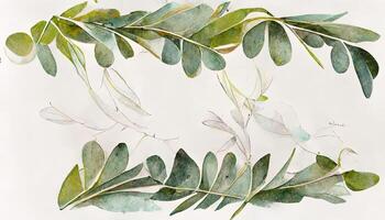 Attractive Eucalyptus leaves border, Watercolor illustration isolated on white, Greenery clipart for wedding. photo