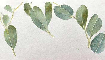 Wonderful Eucalyptus leaves border, Watercolor illustration isolated on white, Greenery clipart for wedding. photo