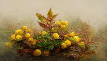 Exceptional Small shrub with yellow leaves in misty autumn morning, Detailed, colored. photo