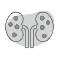 Kidney vector modern design, an human organ icon