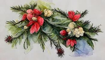 winter bouquet of poinsettia flowers and fir branches on an isolated white background, watercolor. illustration photo