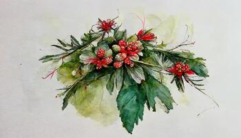 winter bouquet of poinsettia flowers and fir branches on an isolated white background, watercolor. illustration photo