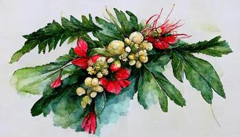 Watercolor christmas flower arrangement. Red flower plant. Hand drawn winter bouquets isolated on white. photo