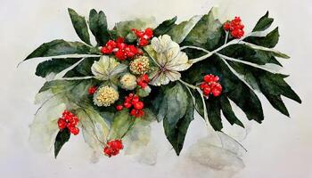 Watercolor christmas flower arrangement. Red flower plant. Hand drawn winter bouquets isolated on white. photo