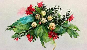 Christmas bouquet with poinsettia berries in red and blue tones watercolor. photo