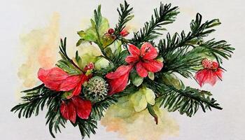 Watercolor Christmas floral bouquet, Hand drawn botanical winter plants, Poinsettia flower. photo