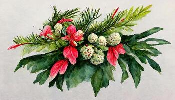 winter bouquet of poinsettia flowers and fir branches on an isolated white background, watercolor. illustration photo