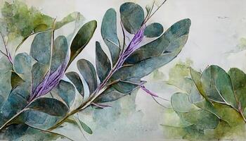 Watercolor eucalyptus leaves and purple lavender flower, Botanical frame, Greenery branches. photo