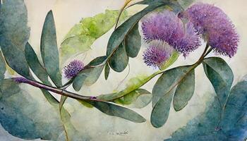 Watercolor eucalyptus leaves and lavender flower illustration. Floral frame, border bouquet set. photo