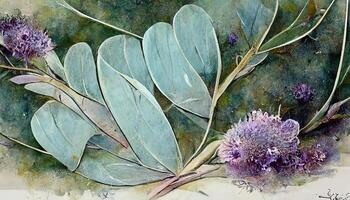 Eucalyptus lavender seamless border. Watercolor illustration. Natural herbs in elegant ornament. photo