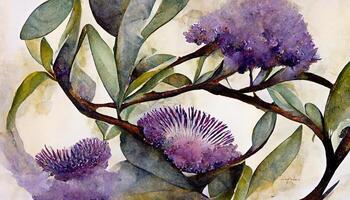 Watercolor eucalyptus leaves and purple lavender flower, Botanical frame, Greenery branches. photo