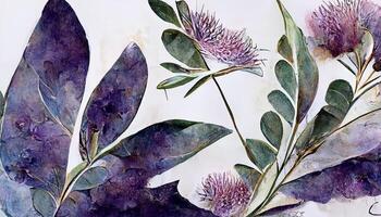 Watercolor eucalyptus leaves and purple lavender flower. Botanical frame, Greenery branches. photo
