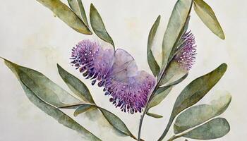 Eucalyptus lavender seamless border. Watercolor illustration. Natural herbs in elegant ornament. photo