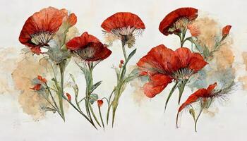 Illustration set of red poppies flowers and leaves, watercolor painting. photo