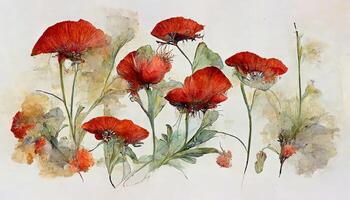 Illustration set of red poppies flowers and leaves, watercolor painting. photo