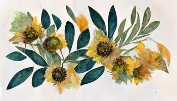 Sunflower with green leaves bouquet watercolor hand draw decoration. photo