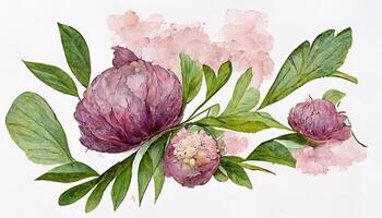 Awesome Watercolor flowers clipart, Pink peony, rose flower, hydrangea and eucalyptus leaves. photo