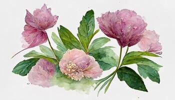 acuarela flores clipart, rosado peonía, Rosa flor, hortensia y eucalipto hojas. generativo ai foto