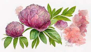 Watercolor clipart delicate flowers garden roses and leaves. Design invitations. photo