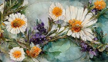 Watercolor floral frame, border, wreath. Daisy flower, calendula, lavender, eucalyptus branches and leaves. photo