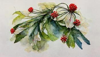 winter bouquet of poinsettia flowers and fir branches on an isolated white background, watercolor. illustration photo