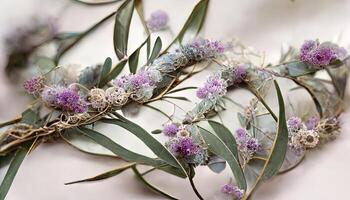 Wonderful Lavender flowers and eucalyptus branches isolated on white, Floral wreath. photo