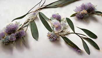 Lavender eucalyptus leaves, sage, and olive branches make up this flower frame from a digital watercolor painting that is isolated on white. photo