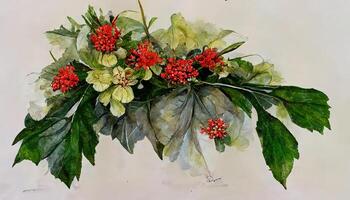 New year arrangement with poinsettia flower, ilex, fir branch with cones for design. photo