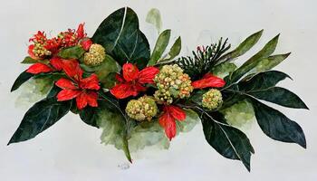 Excellent New year arrangement with poinsettia flower, ilex, fir branch with cones for design. photo