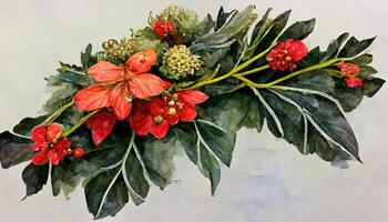 Amazing New year arrangement with poinsettia flower, ilex, fir branch with cones for design. photo