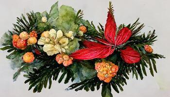 New year arrangement with poinsettia flower, ilex, fir branch with cones for design. photo