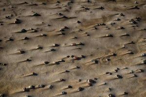 background with sand on the beach and small stones with traces of wind photo